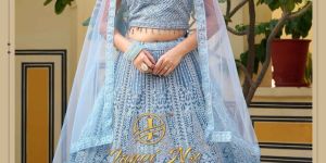 Royal Embroidered Gorgette Net Bridal Lehenga Choli