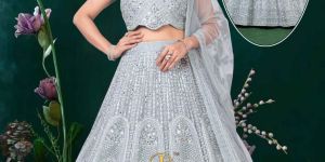 Royal Zari Embroidered Georgette Net Choli