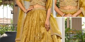 Soft Touch Velvet Heavy Work Choli
