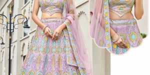 Velvet Rich Heavy Work Lehanga Choli