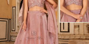 Velvet Rich Heavy Work Net Lehanga Choli