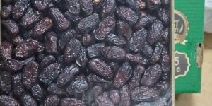 Black Kalmi Dates