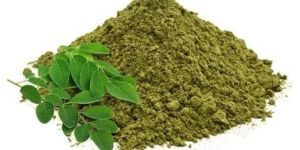 Moringa Powder