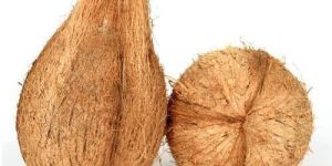 Semi Husked Coconut