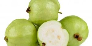 Fresh Green Guava