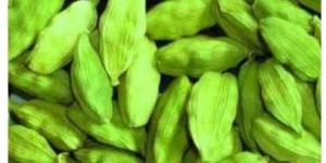Cardamom