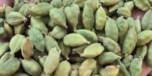 Green Cardamom
