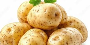 Fresh Brown Potato