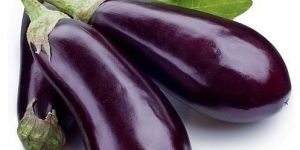 Fresh Raw Brinjal
