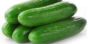 Fresh Raw Cucumber