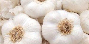 Fresh Raw Garlic