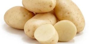 FRESH RAW POTATO