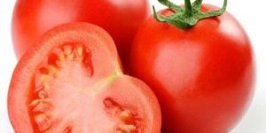Fresh Red Tomato