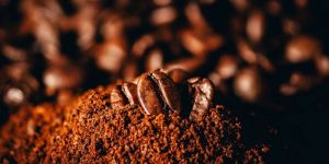 Coffee Powder
