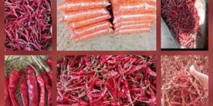 Dried Red Chilli