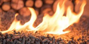 Low-Moisture Wood Stove Pellet