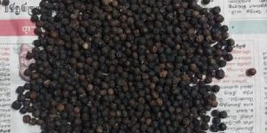 Black Pepper