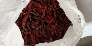 Dry Red Chilli