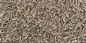 Aromatic Cumin Seeds