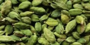 Extra Bold Green Cardamom