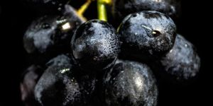 Fresh Black Grapes