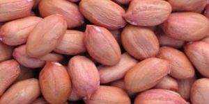 Natural Groundnut Kernels