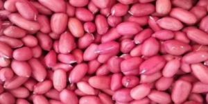 Red Skin Groundnut Kernels