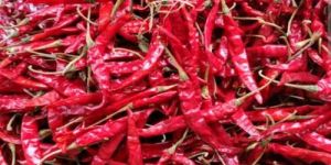 Teja Dried Red Chilli