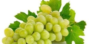 Fresh Green Grape
