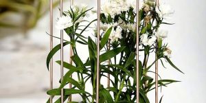Garden Planters