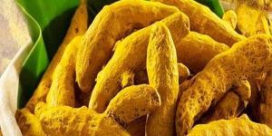 A Grade Nizam Turmeric Finger