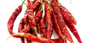 Dried Red Chili