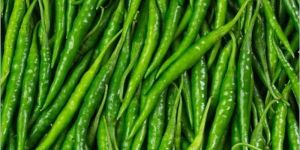 Indian G4 Green Chilli