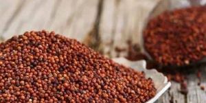 Organic Finger Millet