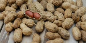 Peanut