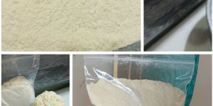 Dehydrated Ash Gourd Powder