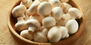 Fresh Button Mushroom