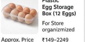 Plastic Egg Storage Box