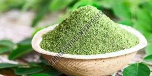 Moringa Powder