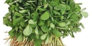 Fresh Leafy Methi Palak