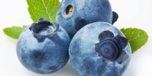 Natural Fresh Blueberry