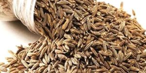 Premium Whole Cumin Seeds