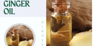 Ginger Oil
