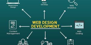 Business Portfolio Website Development