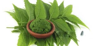 Detox & Immunity Support Neem Powder