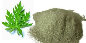 Herbal Wellness Boost Papaya Leaf Powder