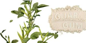 Multi Industry Grade Guar Gum Powder