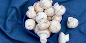 Natural Umami Mushroom Powder