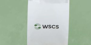 Paper Pouch