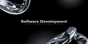 Software Development